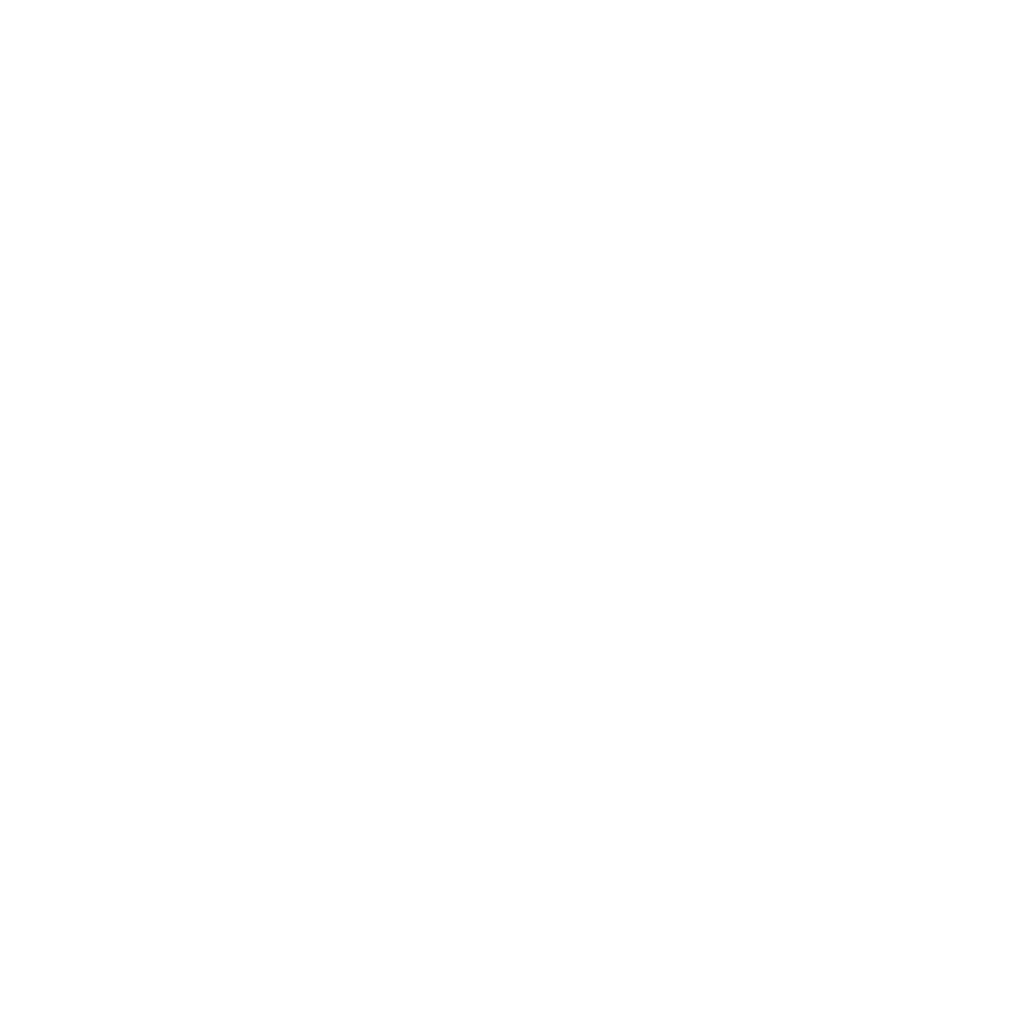 Nicon-Georgian Albu's personal logo